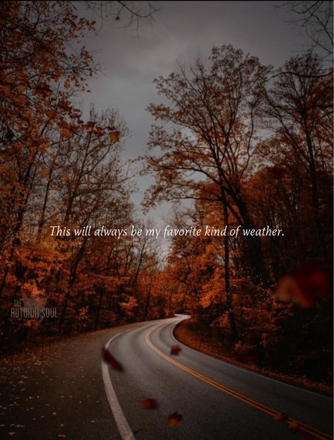 October Country, Fall Humor, Fall Memes, I Love Her Quotes, Fall Mood Board, Iphone Wallpaper Fall, Autumn Magic, Fall Background, Scenic Photos