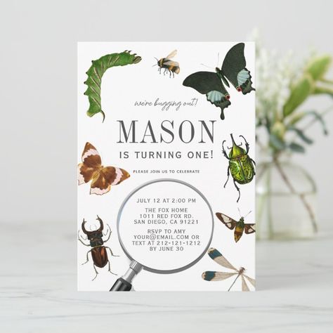 Bugs & Insects Vintage Boy 1st Birthday Invitation | Zazzle Insects Theme, Vintage Boy, 1st Birthday Invitation, Boy Birthday Invitations, Vintage Boys, Happy Birthday Parties, 1st Birthday Invitations, First Birthday Invitations, Bugs And Insects