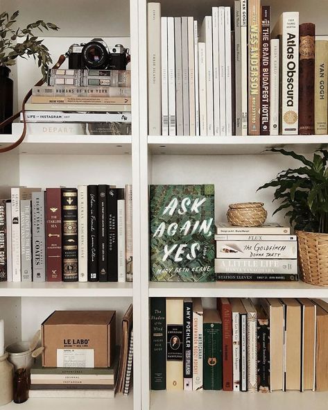 Laura Hollis, Vida Aesthetic, Stuff Aesthetic, Low Bookshelves, Lots Of Books, Bookshelf Inspiration, Cozy Things, Decorating Bookshelves, Bookshelf Organization