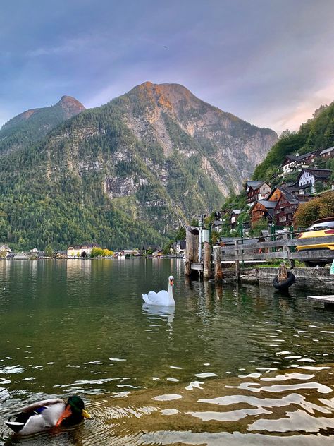 Austria Hallstatt, English Advanced, Lake Aesthetic, Hallstatt Austria, Places Worth Visiting, Mountain Valley, Euro Summer, Places In Europe, Europe Trip