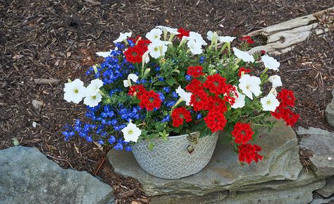 Red, white, and blue flowers in a hanging planter on the ground Red White And Blue Flower Pots Planters, Red White And Blue Flowers Garden, Red White Blue Flower Pots, Red White And Blue Patio Decor, Red White And Blue Garden Ideas, Red White And Blue Flowers In Pots, Red White And Blue Planter Ideas, Patriotic Flower Pots, Red White And Blue Flower Arrangements