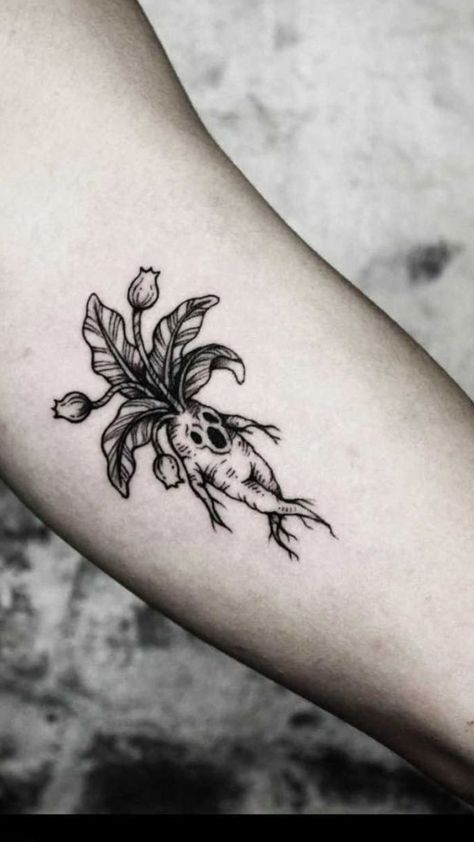 Dark Plant Tattoo Ideas, Mossy Skull Tattoo, Goth Garden Tattoo, Flowers With Skulls Tattoo, Filler Tattoo Ideas Gap Nature, Goth Plant Tattoo, Spooky Fairy Tattoo, Gothic Plant Tattoo, Goth Flowers Tattoo