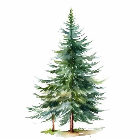 Winter Tree Drawing, Pine Tree Illustration, Pine Tree Watercolor, Watercolor Pine Trees, Tree Drawing Simple, Pine Tree Drawing, Drawing 101, Woodland Illustration, Tree Doodle