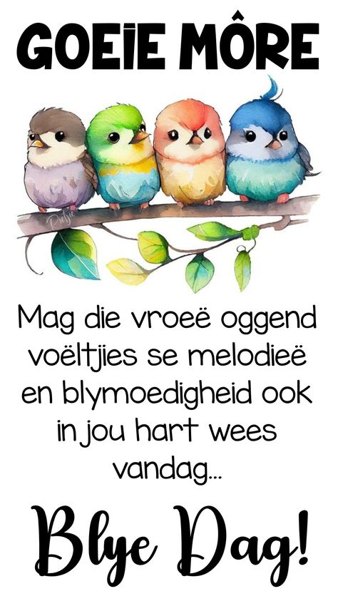 Goeie Môre Geseende Dag, Goeie More Afrikaans, Facial Scrub Recipe, Happy Emoticon, Lilac Cottage, Happy Birthday Music, Good Morning Snoopy, Birthday Music, Funny Pick