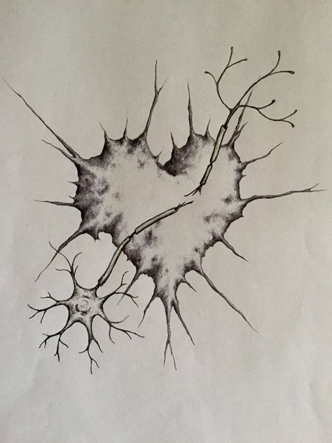 Broken Neuron Tattoo Migraine Awareness Tattoo, Ms Neuron Tattoo, Nerve Tattoo, Migraine Tattoo Ideas, Migraine Tattoo, Ms Tattoos, Ms Tattoos Multiple Sclerosis, Multiple Sclerosis Tattoo, Biology Tattoo