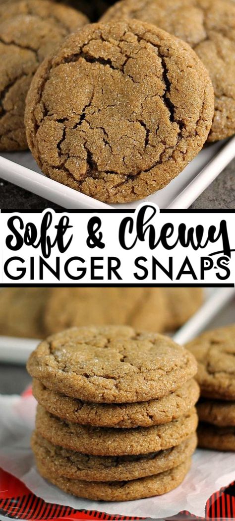 Ginger Snap Cake Recipe, Ginger Soft Cookies, Cake Mix Ginger Snap Cookies, Ginger Snap Bars, How To Make Ginger Snap Cookies, Cake Mix Ginger Cookies, Best Ginger Snap Cookie Recipe, Chewy Ginger Snap Cookies, Ginger Cream Cookies