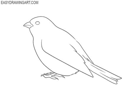 how to draw a simple sparrow Easy Sparrow Drawing, Flying Sparrow Drawing, Draw A Sparrow, How To Draw A Sparrow Step By Step, Sparrow Line Drawing, Sparrow Watercolor Easy, Bird Drawing Easy, Drawing Easy Pencil, Shading Pencil