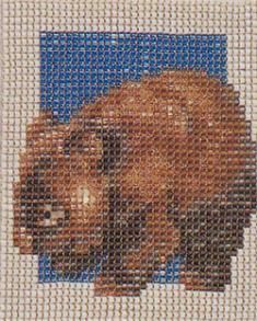 Wombat something Wombat Cross Stitch Pattern, Hama Animals, Crochet Filet, Crochet Afghans, Needle Point, Animals Of The World, Cross Stitching, Hama Beads, Crochet Afghan