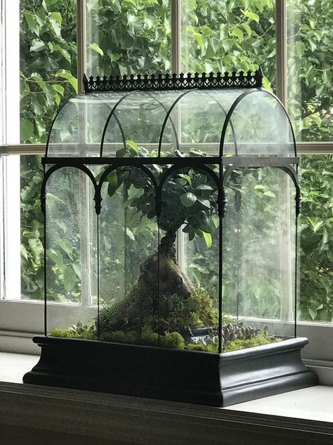 Large Glass Terrarium, Barrel Vault, Wardian Case, Orchid Planters, Beautiful Terrariums, Terrarium Containers, Garden Terrarium, Succulents In Containers, Have Inspiration