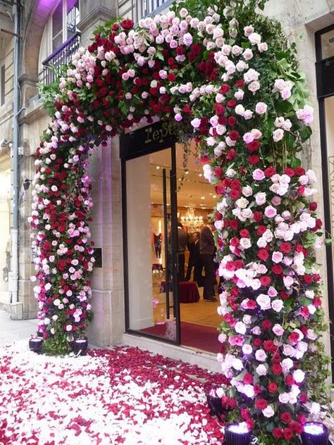 Repetto(Paris) is such a legend of their outstanding window displays – I’d defy anyone to be able to walk past and not notice or want to go inside. Shop Opening, Paris Shopping, I Love Paris, Arte Floral, Window Display, Walkway, On Display, Flower Shop, Paris France