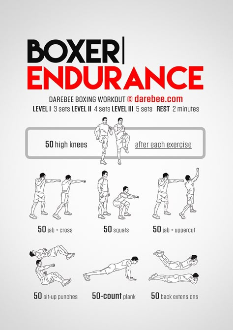 Boxer Endurance Workout - Concentration - Full Body Boxer Workout, Agility Workouts, Fighter Workout, Boxing Training Workout, Workout Fat Burning, Boxing Techniques, Boxing Drills, Superhero Workout, Speed Workout