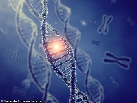 Gene Mutation, Mthfr Gene Mutation, Mthfr Gene, Gene Therapy, Genetic Mutation, Double Helix, Natural Selection, Medical Illustration, Chronic Fatigue