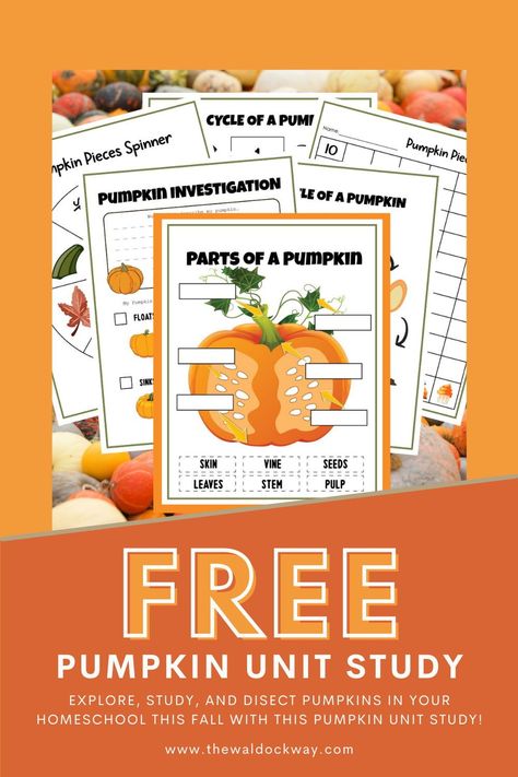 Pumpkin Unit Preschool, All About Pumpkins, Pumpkin Activities For First Grade, Fall Homeschool Lessons, Pumpkin Lessons Kindergarten, Fall Unit Study Preschool, Pumpkin Activity, October Homeschool Activities, Pumpkin Homeschool Activities