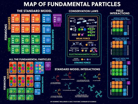 Particle Physics Aesthetic, Science Infographics, Particle Physics, Library School, Higgs Boson, Science Literacy, Physics And Mathematics, German Language Learning, Quantum Mechanics