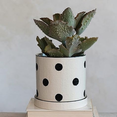 This farmhouse-inspired stoneware planter and saucer set showcases a hand-painted polka dot design and textured linen finish Display in a living space of any style from farmhouse to minimalist Showcase seasonal flora or as a statement-making standalone accent Made from stoneware 7 inches L x 7 inches W x 6.75 inches H Ticking Stripe Curtains, Wooden Pantry, Drop Pendant Lights, Reclaimed Wood Dining Table, Farmhouse Paint, Bird Statues, Rustic Frames, Creative Co Op, Decorative Pots