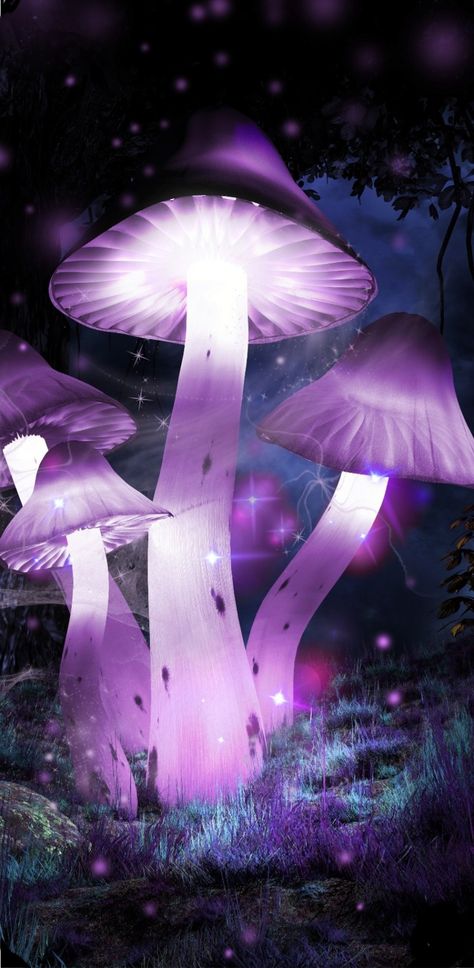 Purple Mushrooms, Travel Time, Cool Ideas, Visionary Art, Modern Times, Relaxing Music, Digital Drawing, Stars, Purple