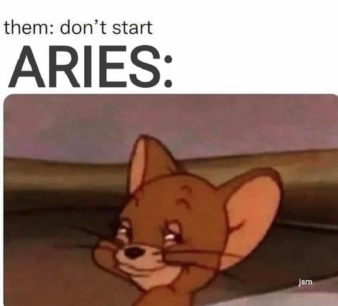 Aries Birthday Quotes, Aries Quotes Funny, Aries Quotes Women Funny, Aries Mood, Aries Funny, April Aries, Aries Personality, Astrology Signs Aries, Zodiac Funny Memes