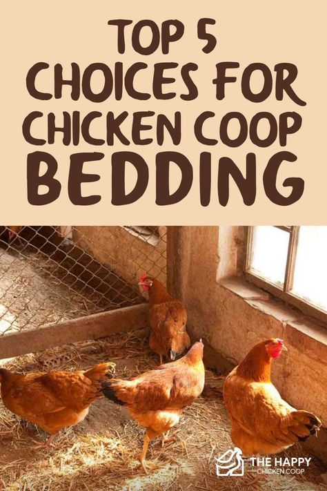 Keeping Chicken Coop Clean, How To Clean Chicken Coop, Inside Small Chicken Coop, How To Keep Chicken Coop Clean, Chicken Coop Cleaning Hacks, Chicken Poop Catcher, Cleaning Chicken Coop, Easy To Clean Chicken Coop, Easy Clean Chicken Coop