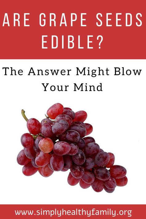 Are you wondering if grape seeds are edible? The answer might blow your mind! Find out the wonderful news and nutritional benefits of grape seeds here! #grapes #grapeseed #grapeseedextract #grapeseedoil Grape Seed Extract Benefits, Benefits Of Grapes, Grape Seeds, Grapes Benefits, Seeds Benefits, Food Advice, Fruit Benefits, Grape Seed Extract, Red Grapes