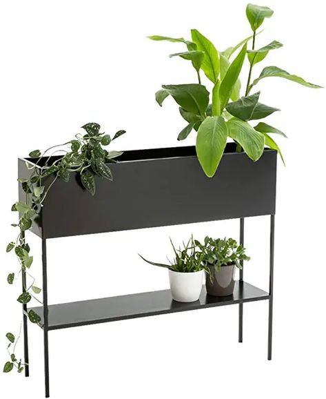 Amazon.com: rectangular planter - Stands / Plant Container Accessories: Patio, Lawn & Garden Rectangular Planter Box, Wrought Iron Plant Stands, Loading Design, Iron Plant Stand, Garden Shelves, Rectangular Planters, Plant Box, Planter Table, Iron Plant