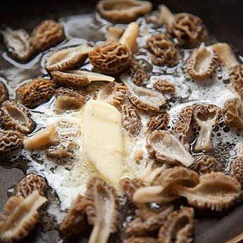 Moral Mushrooms, Morel Recipes, Morel Mushroom Recipes, Wild Mushroom Recipes, Mushroom Appetizers, Spring Pasta, Morel Mushrooms, Mushroom Cream Sauces, Morel Mushroom