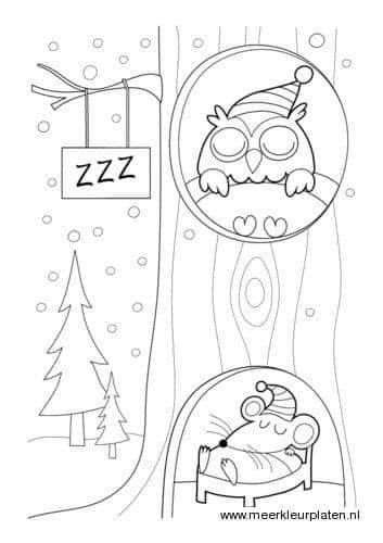 Hibernation Coloring Pages, Hibernation Preschool Crafts, January Preschool Themes, Animals That Hibernate, Winter Art Lesson, Baby Crafts Diy, First Grade Art, Thema Winter, Winter Preschool