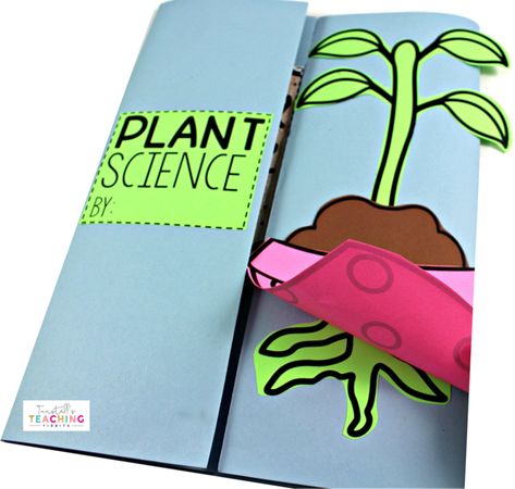 Interactive Plant Science Plant Lap Book, Stem Resources, Plant Activities, Lap Book, Interactive Journals, Science Notebook, Interactive Science, Active Learning, Interactive Science Notebook