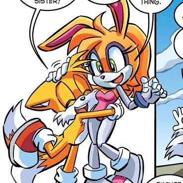 Bunnie Rabbot, Sonic Au, Sonic Idw, Bandit Heeler, Sonic Satam, Archie Comics Characters, Sally Acorn, Princesas Disney Anime, Sonic And Amy