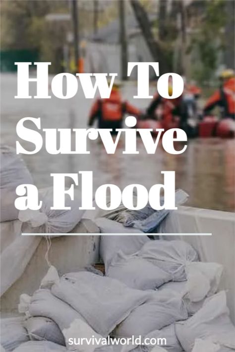 While many people think that floods are only a real threat in coastal areas, everyone needs to know how to survive a flood. How To Survive A Flood, Natural Disasters Floods, Water Flood, Flood Warning, Emergency Supplies, How To Survive, Water Purification, Local Government, Urban Area