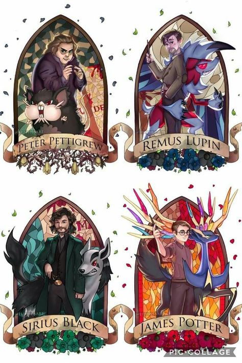 Harry Potter Pokemon, Harry Potter Cartoon Art, Harry Potter Triwizard Tournament, Harry Potter Crossover, Imprimibles Harry Potter, Harry Potter Painting, Harry Potter Friends, Harry Potter Background, Harry Potter Illustrations