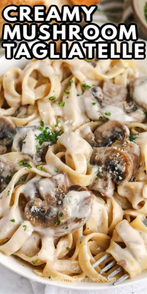 Mushroom Fettuccine Alfredo, Mushroom Tagliatelle, Mushroom Fettuccine, Tagliatelle Recipe, Mushroom Pasta Sauce, Tagliatelle Pasta, Mushroom Recipes Pasta, Pasta Creamy, Creamy Mushroom Pasta