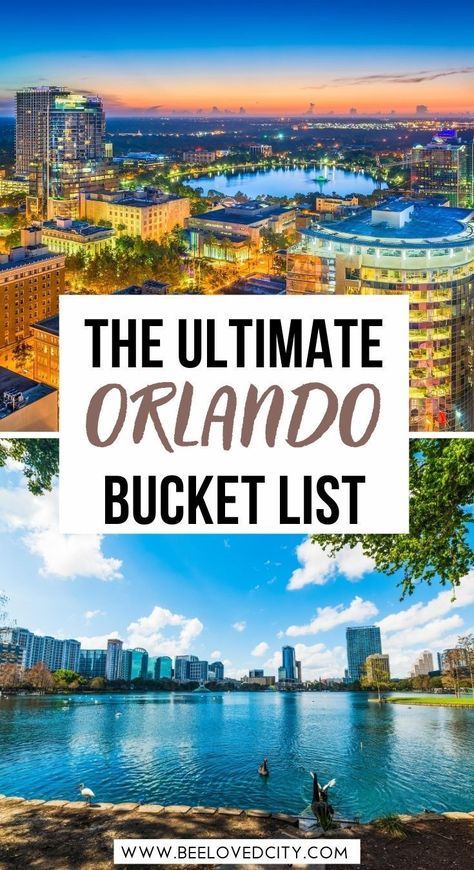 Disneyland Orlando Florida, Orlando Bucket List, Things To Do Near Orlando, Orlando Florida Aesthetic, Orlando Itinerary, Disney Orlando Florida, Bamboo Farm, Things To Do Orlando, Things To Do For Couples