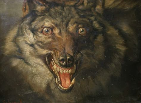 August Friedrich, Wolf Portrait, Robb Stark, Vintage Animals, Rennaissance Art, Hiking Dogs, Art Folder, Dog Poster, Dark Art Illustrations