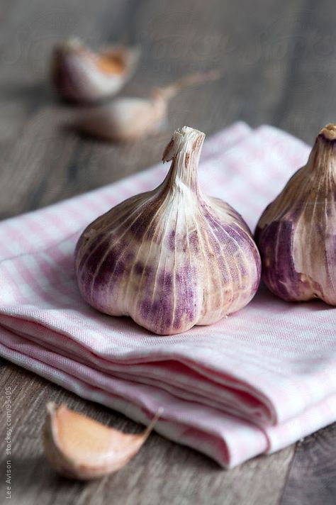 Garlic Aesthetic, Garlic Photography, Garlic Photo, Purple Garlic, Amazing Food Photography, Onion Vegetable, Probiotic Foods, Cooking Ingredients, Cooking Show