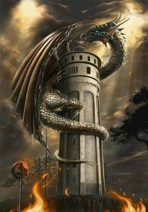 Dragon on castle tower... Dragon Medieval, Creature Fantasy, Yin Yang Tattoos, Dragon's Lair, Cool Dragons, Fairy Dragon, Beautiful Dragon, Dragon Pictures, World Of Fantasy