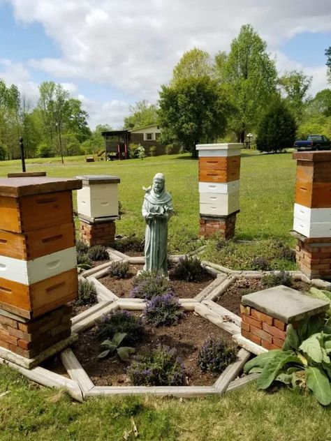 Apiary Design, Hexagon Garden, Bee Hive Stand, Bee Apiary, Backyard Bee, Clover Seed, Landscape Timbers, Garden Goals, Backyard Beekeeping