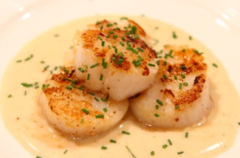 Sauteed Sea Scallops With White Wine Cream Sauce – davidsfavoriterecipes Scallops In Cream Sauce, Bay Scallops In Cream Sauce, Scallops In Sherry Cream Sauce, Scallop Spaghetti In White Wine Sauce, Scallops In White Wine Sauce, Sauce For Scallops, Scallops Pasta White Wine, White Wine Cream Sauce, Truffle Cream