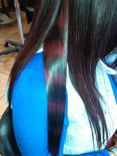 Raccoon Tail Hair Underneath, Racoon Tail Hair Underneath, Dyed Rat Tail Hair, Red Raccoon Tail Hair, Red Racoon Tail Hair, Blue Racoon Tail Hair, Red Hair With Racoon Tail, Raccoon Tail Hair Dye, Raccoon Tails Hair