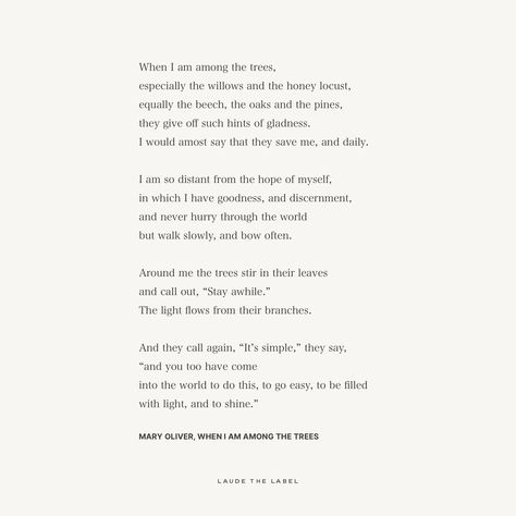 And they call again, “It’s simple,” they say, “and you too have come into the world to do this, to go easy, to be filled with light, and to shine.” — Mary Oliver, When I Am Among the Trees How I Go Into The Woods Mary Oliver, Mary Oliver Nature Quotes, The Trees Are About To Show Us Quote, A Tree Falls The Way It Leans Quote, When I Am Among The Trees Mary Oliver, Honey Locust, Mary Oliver, Good Things