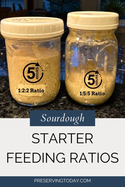 Sourdough starter feeding ratios showing difference after five hours. Feeding Starter Ratio, Feeding Sourdough Starter Ratio, Sourdough Starter Ratio Chart, Feed Sourdough Starter Ratio, Stages Of Sourdough Starter, Strengthen Sourdough Starter, Feeding Sour Dough Starter, Sourdough Ratio Chart, Sourdough Starter Names List