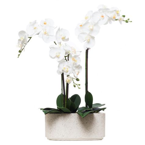 White Orchid Arrangement, Orchid Flower Arrangements, Silk Orchids, White Terrazzo, Orchid Arrangements, Faux Flower Arrangements, Silk Floral Arrangements, White Orchids, Orchid Flower