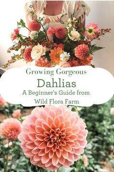 Dahlia Flower Garden, Growing Cut Flowers, Gorgeous Bouquet, Flora Farms, Cut Flower Farm, Dahlias Garden, Growing Dahlias, Flower Farmer, Cut Flower Garden