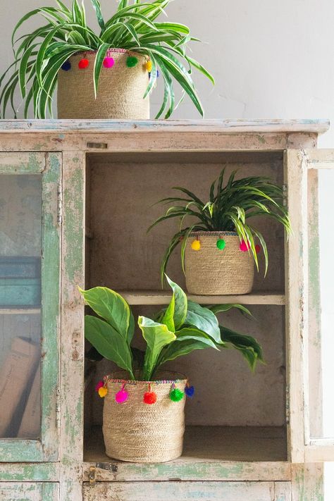 Indoor Plant Pot Ideas Diy Planters, Textile Pattern Design Fashion, Tin Crafts, Ian Snow, Plant Styling, Color House, Kitchenware Design, Flower Pot Crafts, Garden Crafts Diy