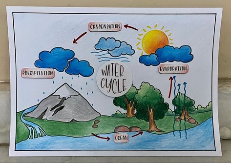 The Water Cycle Project Poster, Water Cycle Picture, Water Cycle Diagram Drawing, Water Cycle Diagram Science, Life On Land Drawings, Water Cycle Poster Ideas, Water Cycle Aesthetic, Water Cycle Poster Project For Kids, Condensation Drawing