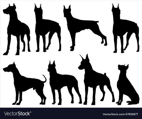 Doberman Dog, Doberman Dogs, Dog Silhouette, Doberman, Transparent Png, High Res, Png Images, Dog Breeds, Adobe Illustrator