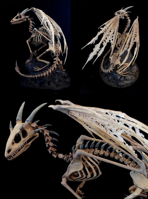 Propnomicon: Dragon Skeleton. Artist Cecilia Arnqvist brings us this mounted dragon skeleton.  Each bone is individually sculpted and cast. Just stunning. Bird Skull Drawing, Skeleton Sculpture, Sea Town, Dragon Skeleton, Animal Skeleton, Dragon Anatomy, Drawing Dragon, Apoxie Sculpt, Dragon Ideas