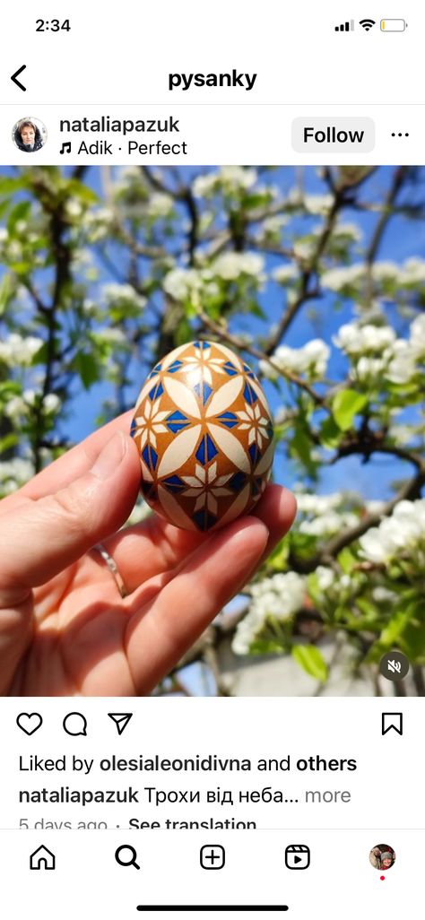 Eggshell Art, Pysanky Eggs Pattern, Pysanky Egg, Ukrainian Eggs, Egg Ideas, Ukrainian Easter, Pysanky Eggs, Egg Dye, Ukrainian Easter Eggs