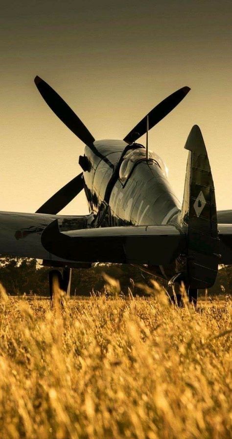 Tomcat F14, Ww2 Fighter Planes, Plane Photography, F4u Corsair, Airplane Wallpaper, Wwii Airplane, Airplane Fighter, Supermarine Spitfire, Air Fighter