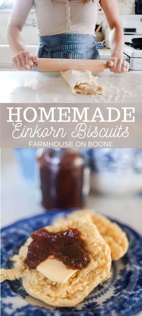 Fluffy, buttery, homemade einkorn biscuits are a quick and easy recipe to whip up for a delicious breakfast. These biscuits easily accommodate savory or sweet, quickly going beyond breakfast to brunch, lunch, dinner, or even dessert. #farmhouseonboone #einkornbiscuits #einkorn #homemadebiscuits Einkorn Biscuits, Quick Biscuits, Ancient Grains Recipes, Einkorn Bread, Farmhouse On Boone, Sourdough Biscuits, Flour Biscuits, Einkorn Recipes, Nourishing Food