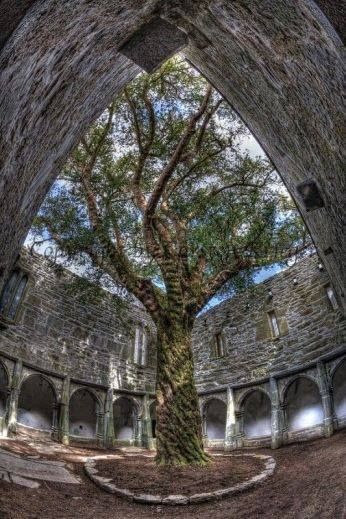 Muckross Abbey is a picturesque Franciscan monastery founded in Killarney National Park in County Kerry Muckross Abbey, Muckross House, Village By The Sea, House Ireland, Countryside Village, County Kerry, Ireland Wedding, The Cloisters, Killarney